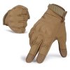 coyote-brown-fr