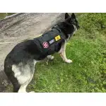 Patch biohazard photo review