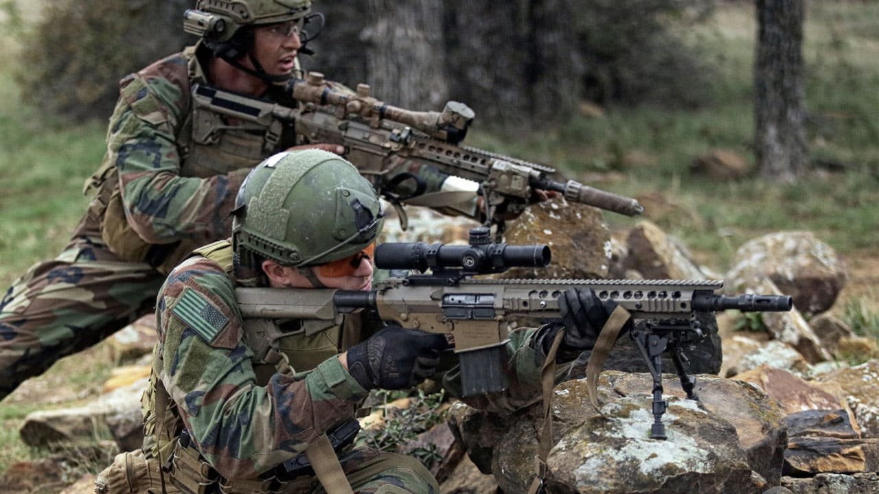 Efficacité du camouflage en forêt