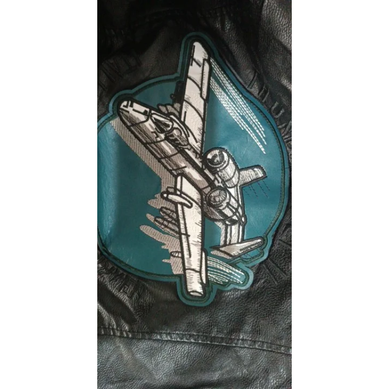 Blouson aviateur en cuir avec broderie indienne photo review