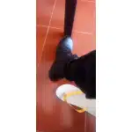 Bottes tactiques légères à fermeture éclair photo review