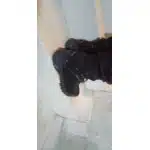 Bottes de randonnée imperméables en daim gris photo review