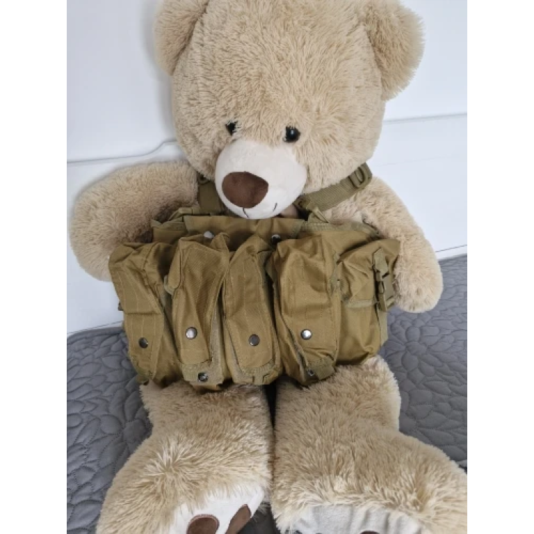 Gilet tactique AK 8 chargeurs tan photo review