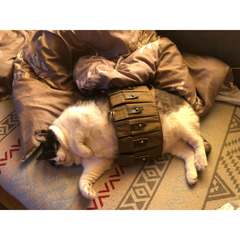 Chest rig soviétique R22 « Lifchik » photo review