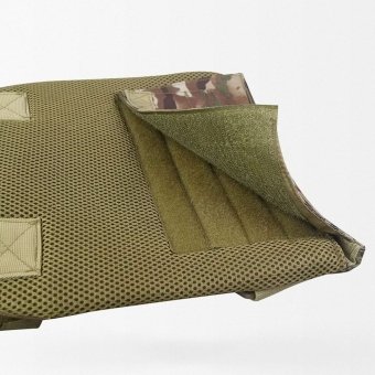 Concealed plate carrier