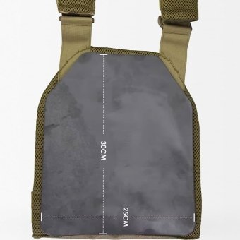 Concealed plate carrier