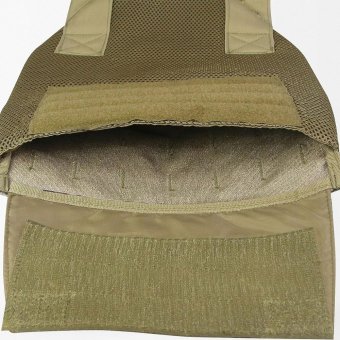 Concealed plate carrier