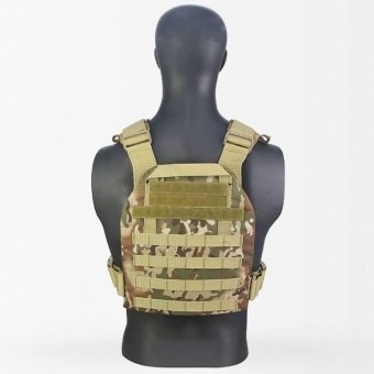 Concealed plate carrier