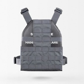 Low profile plate carrier