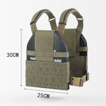Low profile plate carrier
