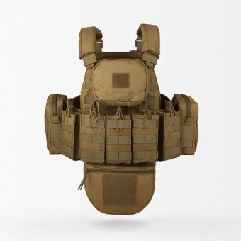 Molle Plate Carrier With Pouches