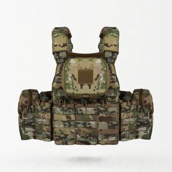 Molle Plate Carrier With Pouches