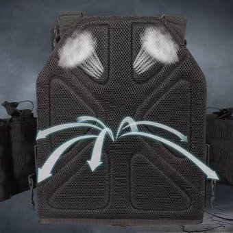 Quick release plate carrier