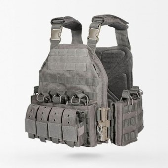Quick release plate carrier