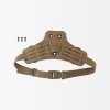 coyote-brown-fr