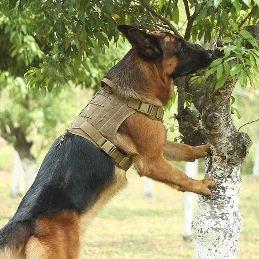 Gilet harnais tactique pour chien – Image 2