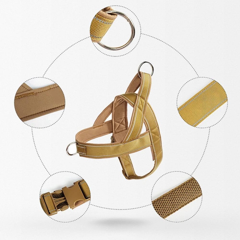 Harnais tactique minimaliste pour chien – Image 6