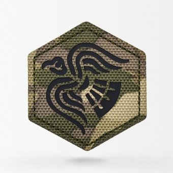 Patch militaire Raven