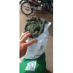 Ghillie suit hunting photo review