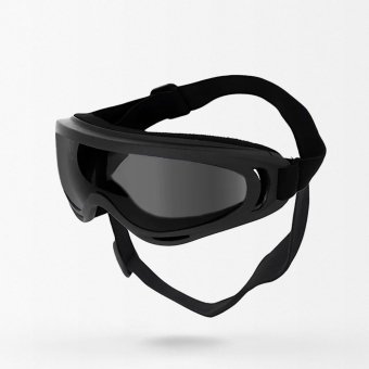 Lunettes militaires pour chien