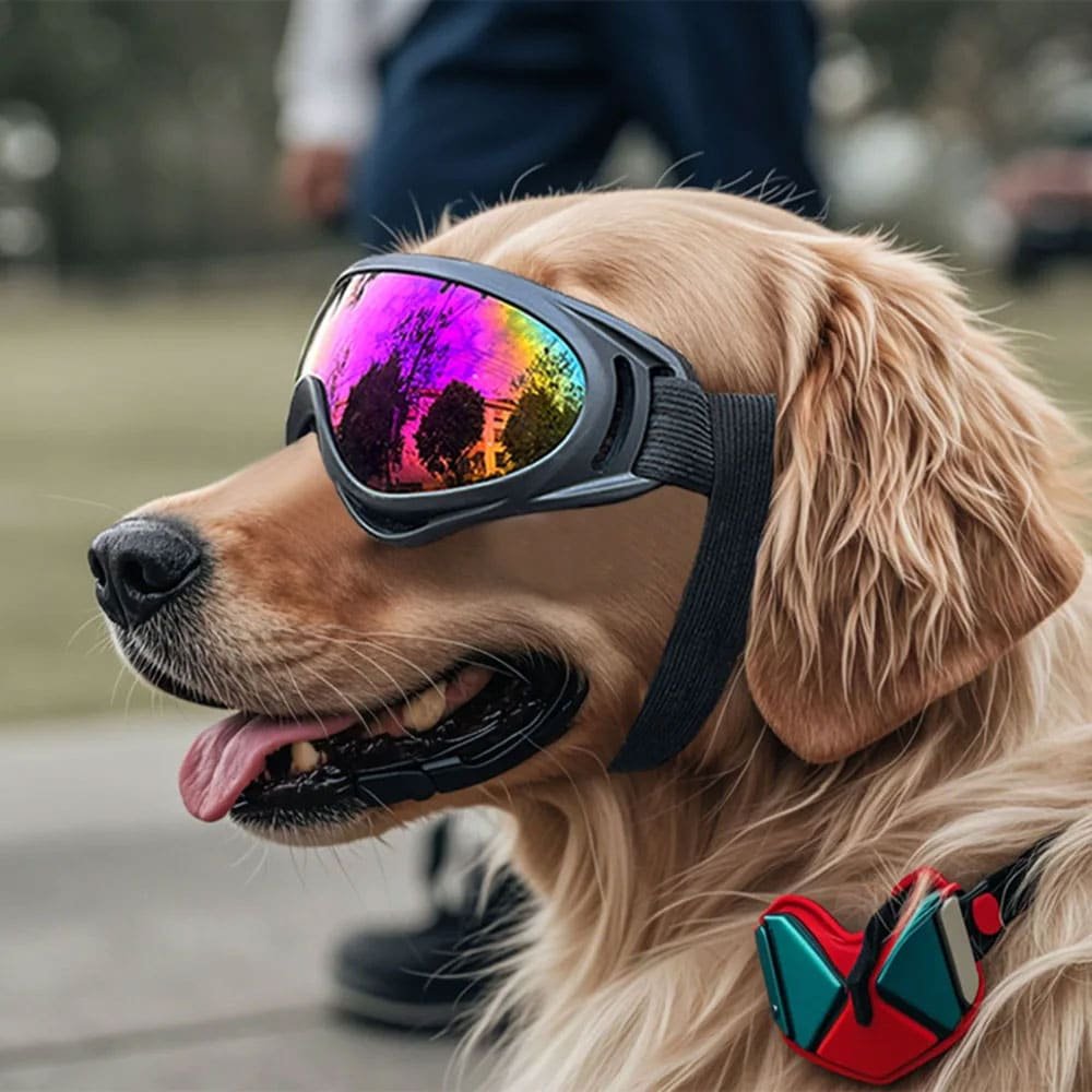 Lunettes militaires pour chien – Image 2