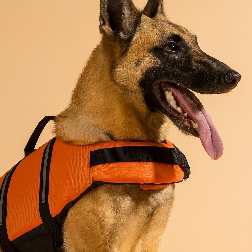 Gilet de sauvetage militaire pour chien – Image 2