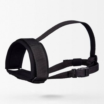Muselière militaire pour chien