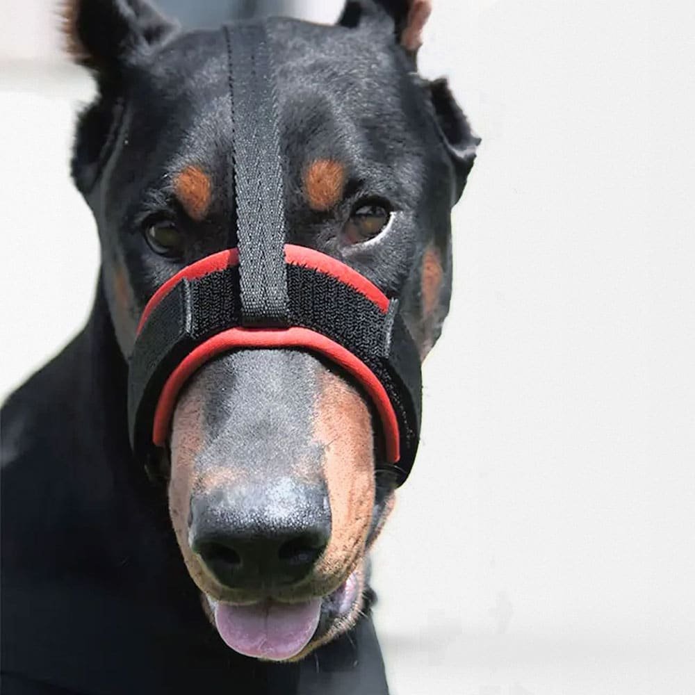 Muselière militaire pour chien – Image 3