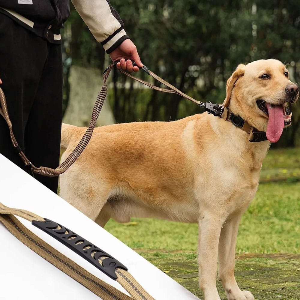 Laisse tactique bungee pour chien – Image 3