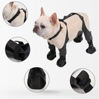 Bottines tactiques pour chien avec harnais