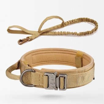 Collier et laisse tactiques pour chien