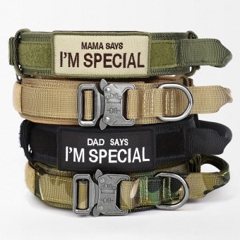 Collier tactique pour chien avec poignée