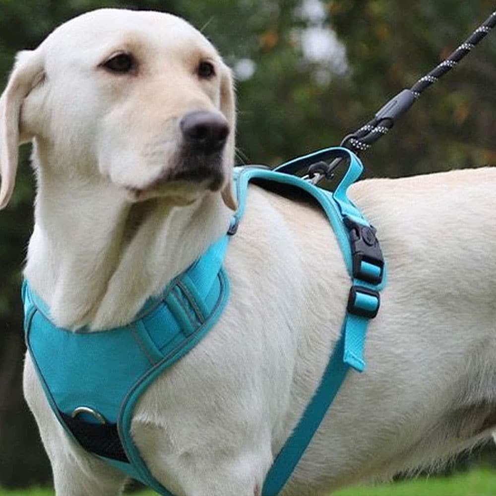 Harnais tactique pour chien avec airtag – Image 3