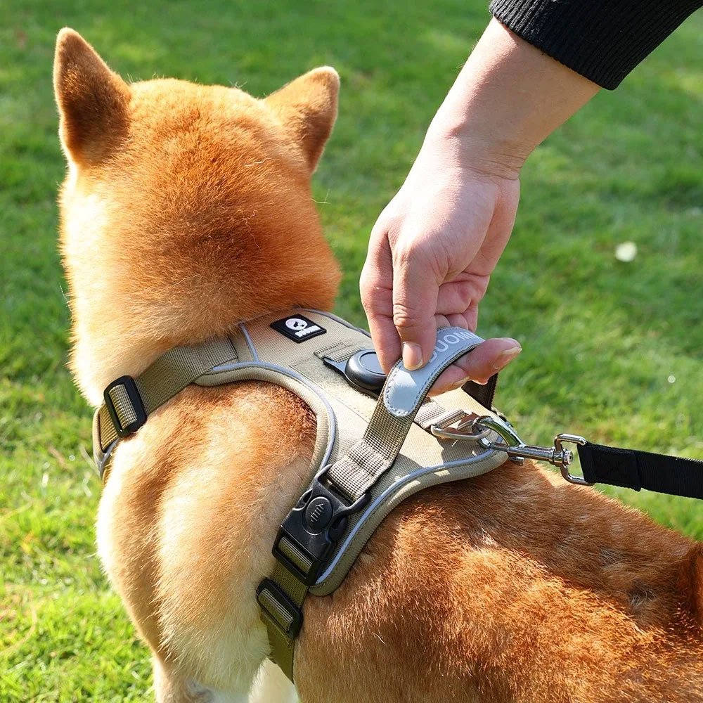 Harnais tactique pour chien avec airtag – Image 2