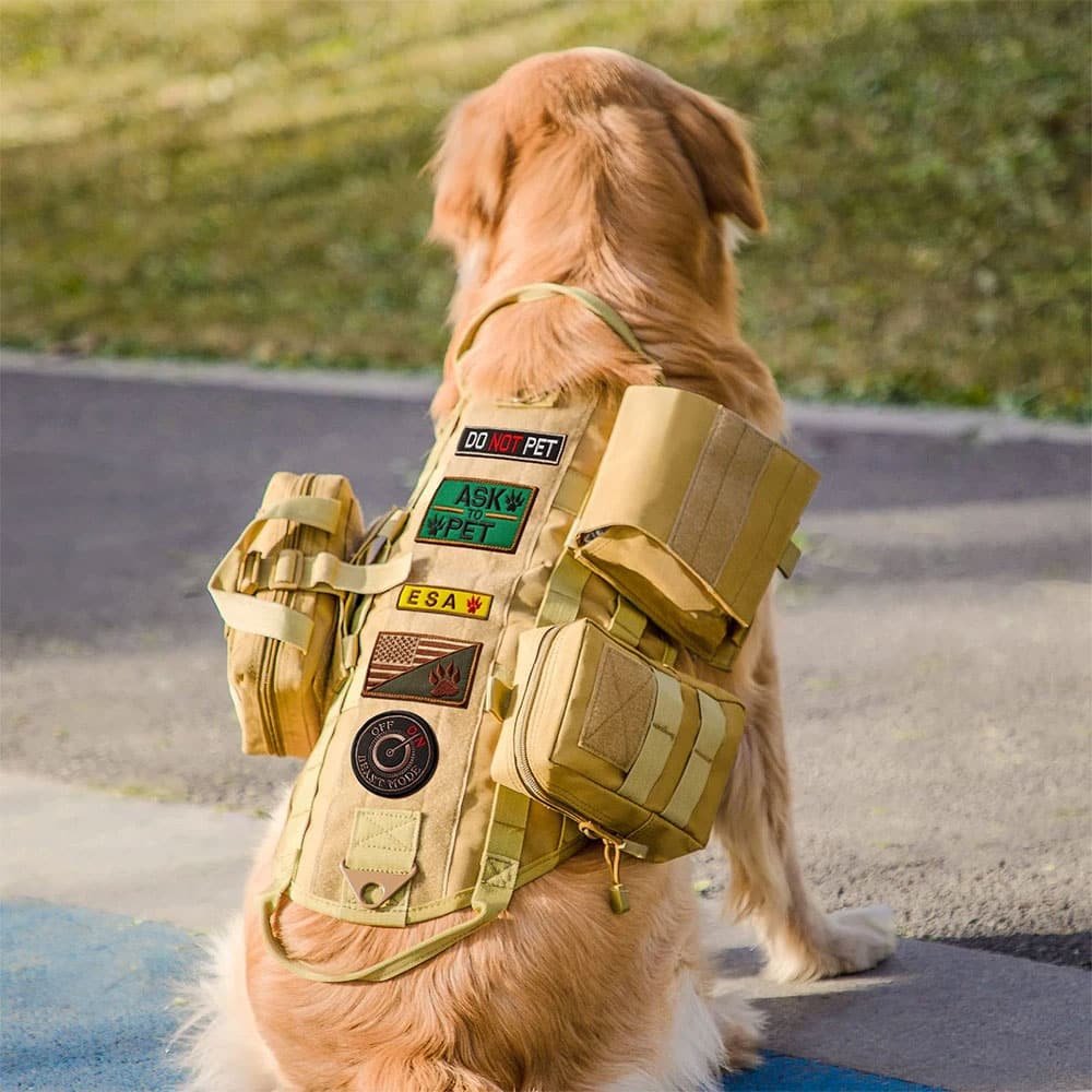 Harnais tactique pour chien avec sacoches – Image 2