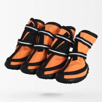Bottes militaires imperméables pour chien