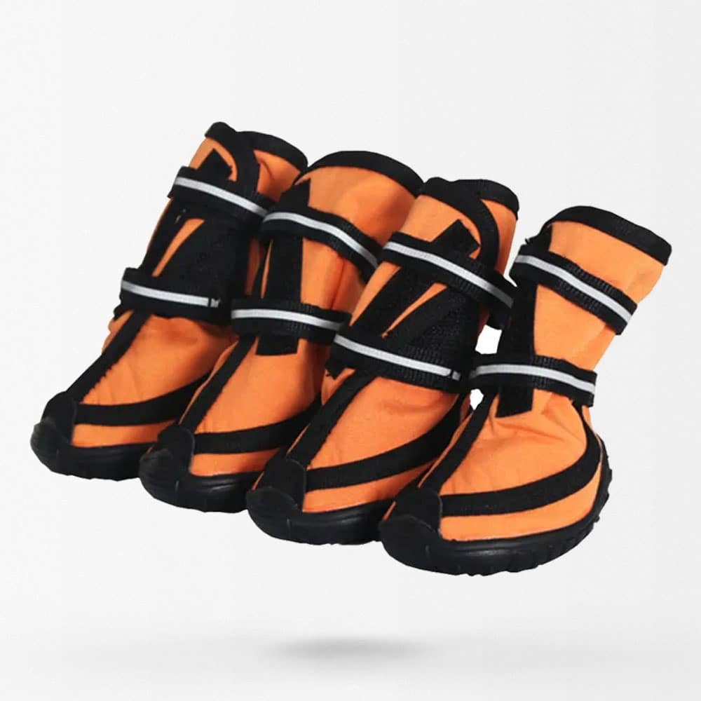Bottes militaires imperméables pour chien