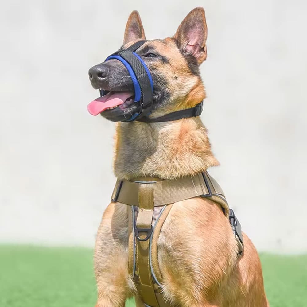 Muselière militaire pour chien – Image 4