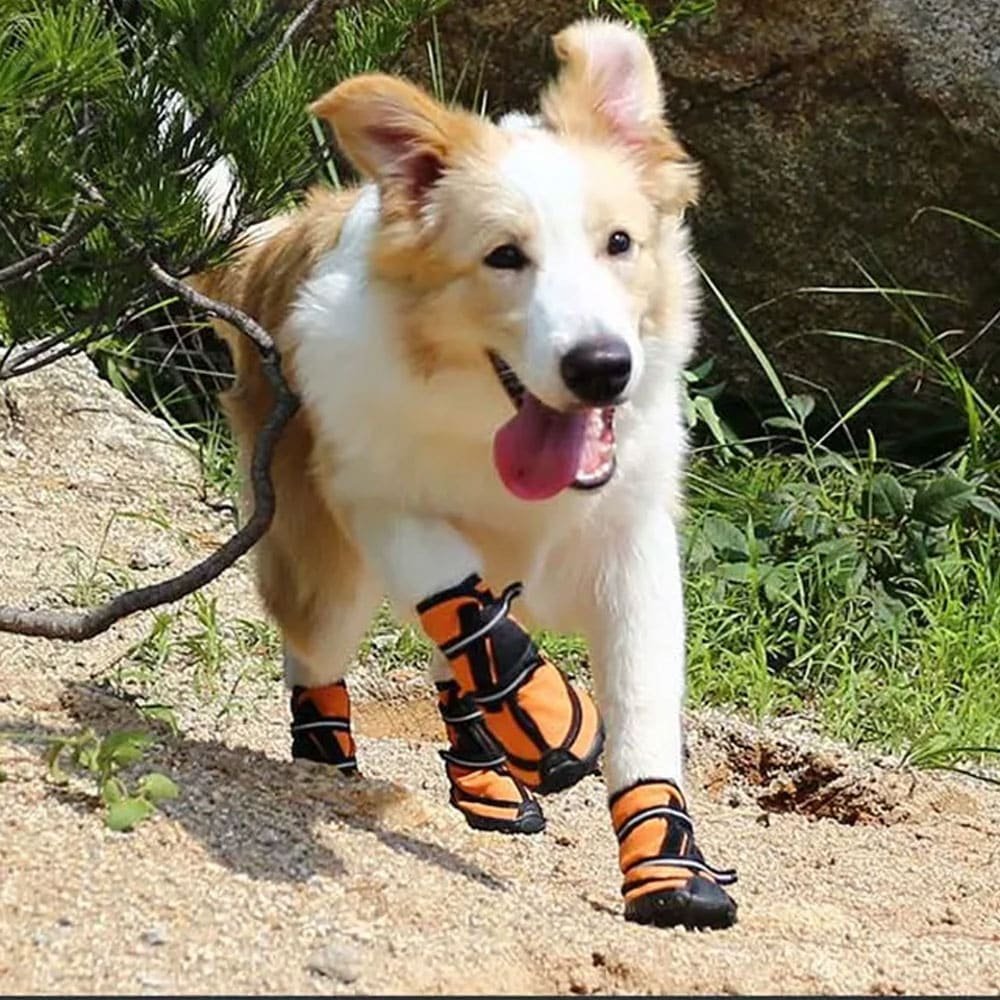 Bottes militaires imperméables pour chien – Image 5