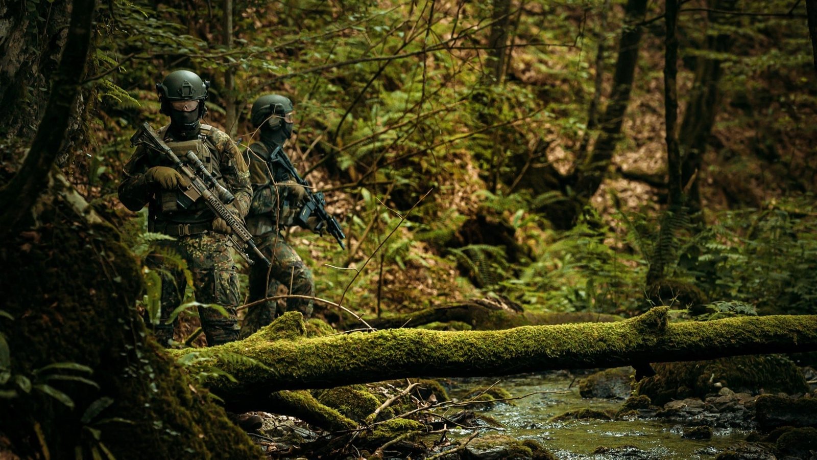 efficacité de Flecktarn