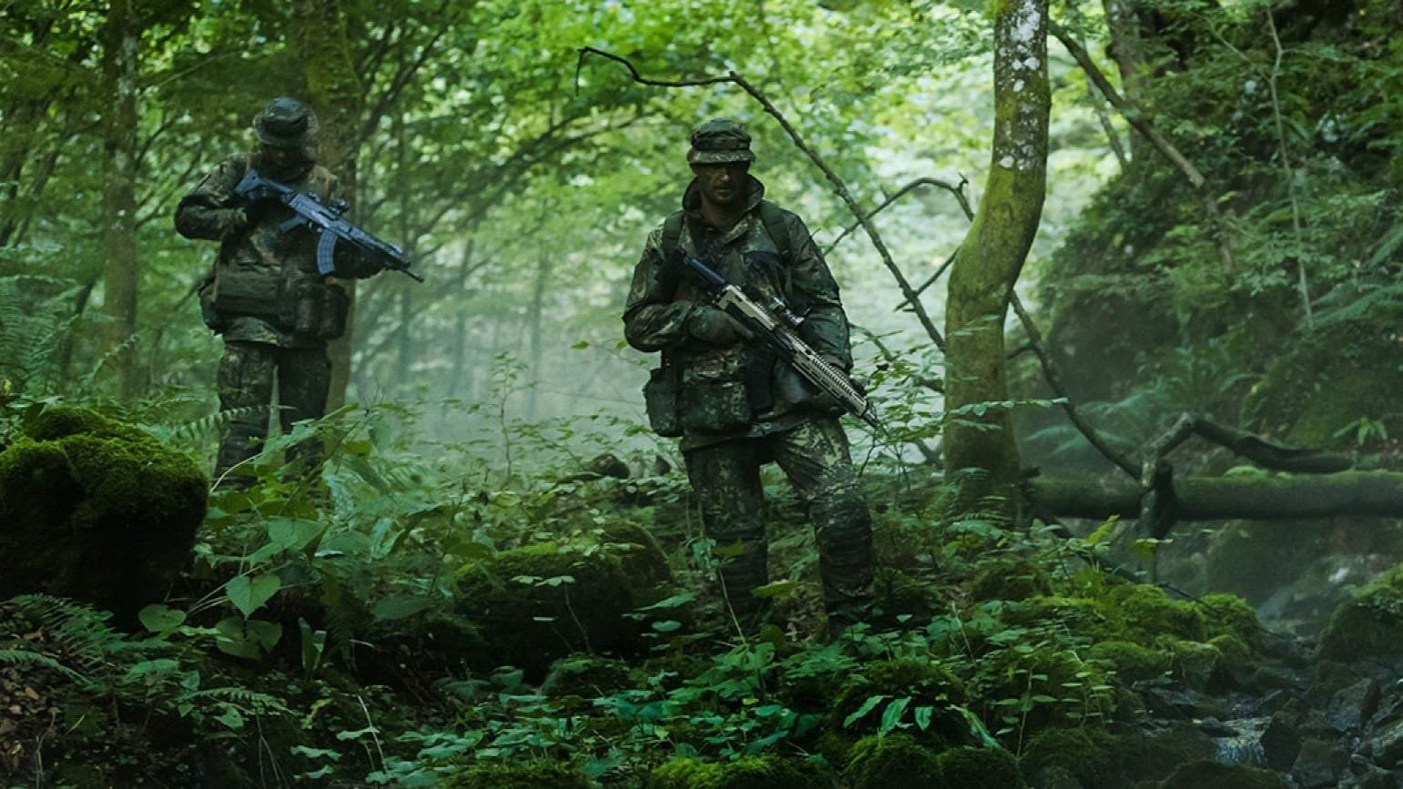 Flecktarn où l'utiliser